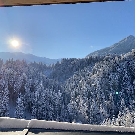 Wohnung Staufenblick Und Wohnung Firstblick دورنبيرن المظهر الخارجي الصورة