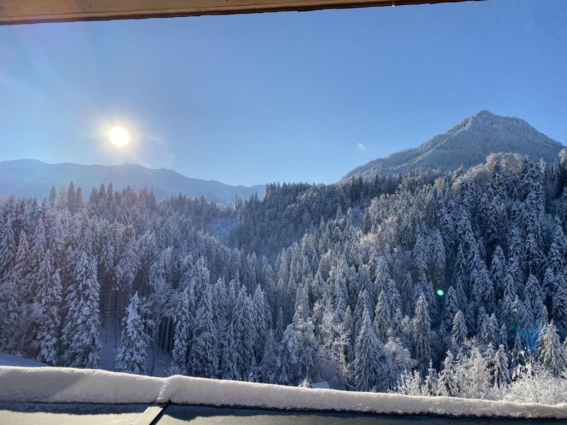 Wohnung Staufenblick Und Wohnung Firstblick دورنبيرن المظهر الخارجي الصورة