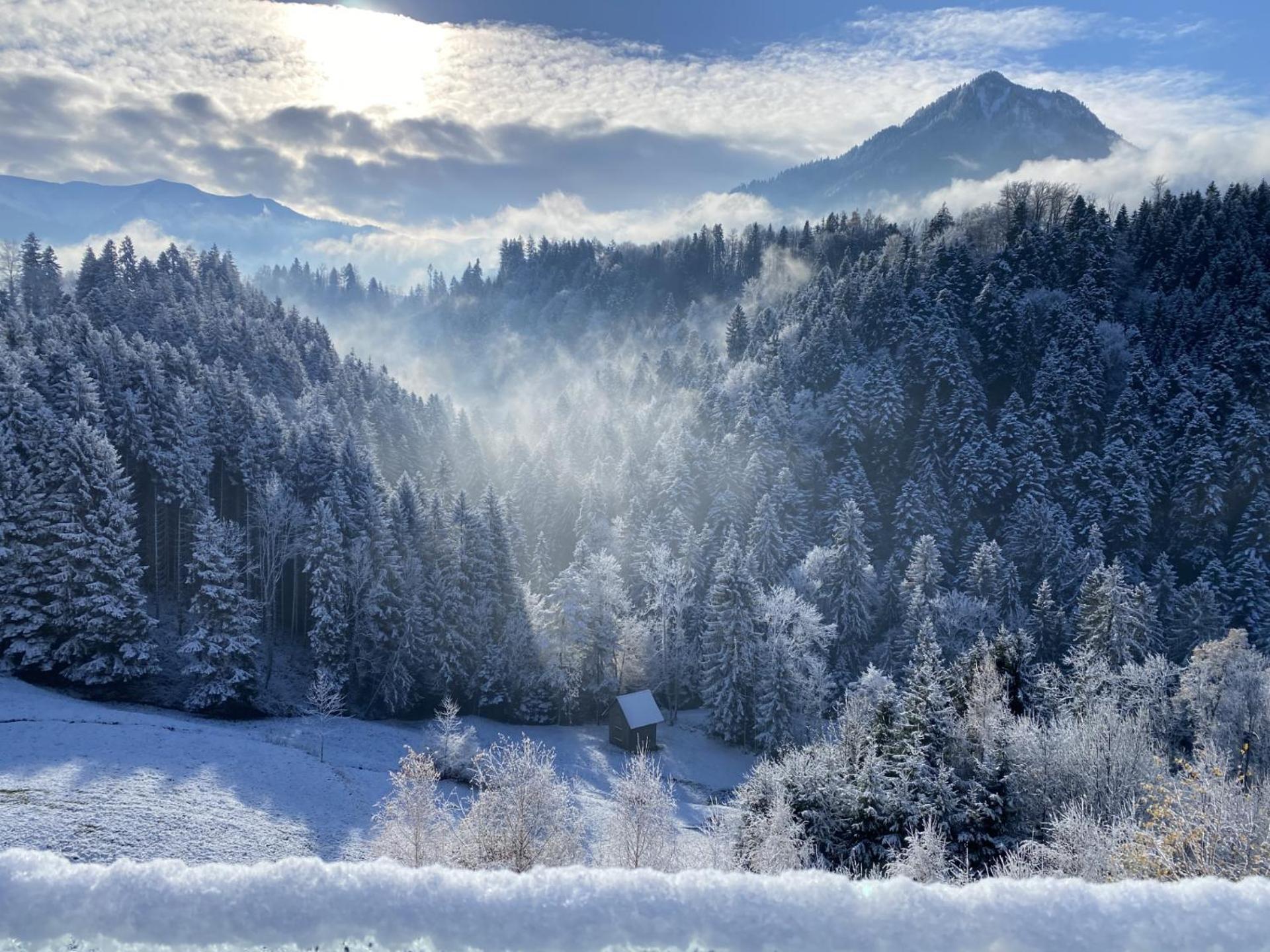 Wohnung Staufenblick Und Wohnung Firstblick دورنبيرن المظهر الخارجي الصورة