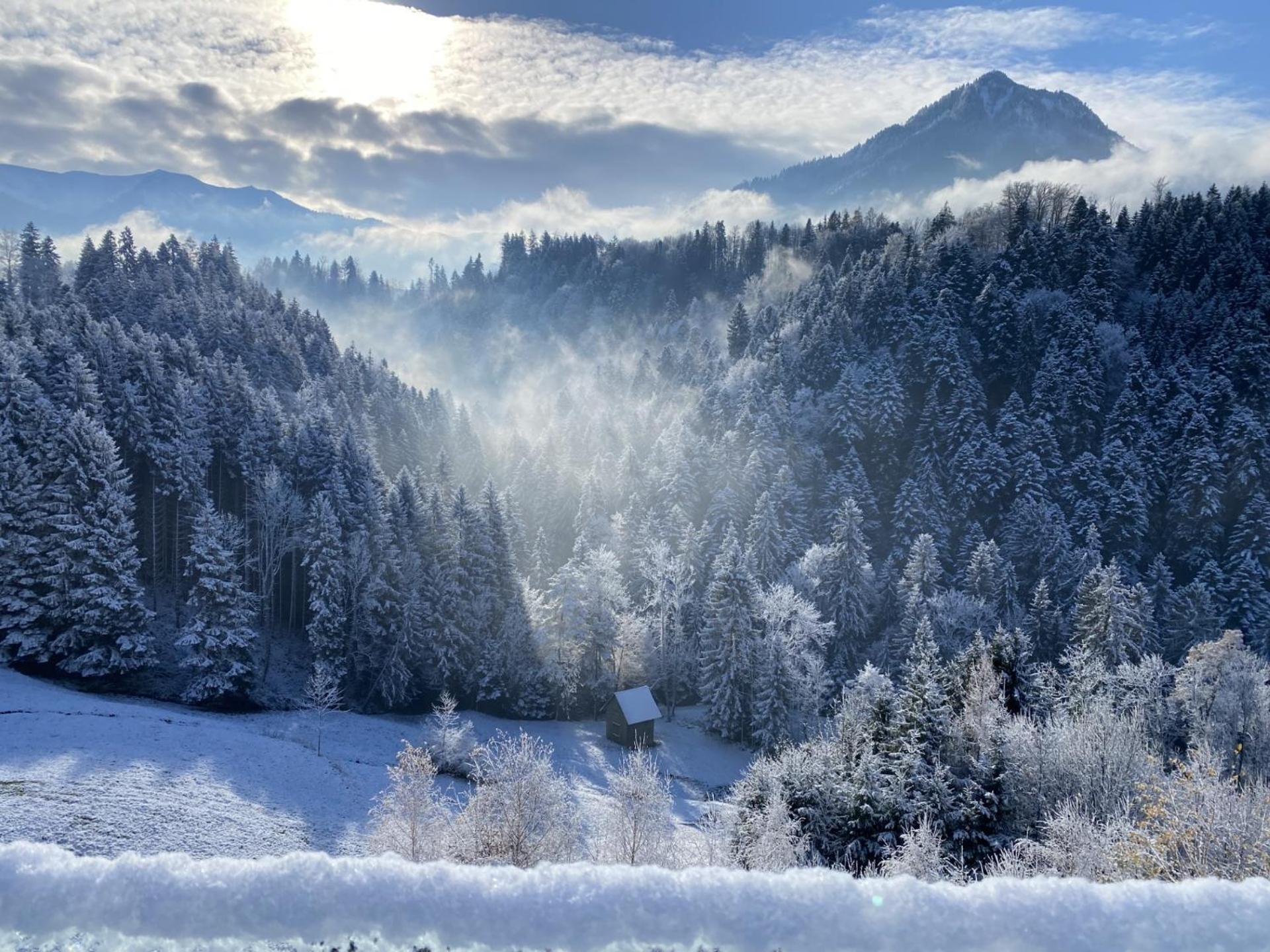Wohnung Staufenblick Und Wohnung Firstblick دورنبيرن المظهر الخارجي الصورة